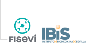 Fisevi_ibis-llave